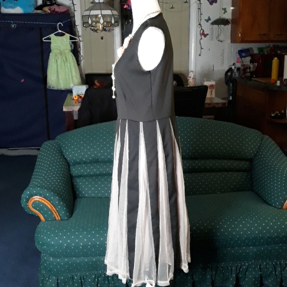 Black and tan mesh pleated womens dress - Picture 2 of 8